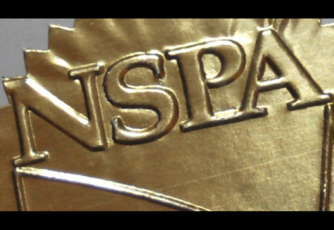 Well deserved! IJEA’s Sally Renaud named a 2018 NSPA Pioneer Award winner